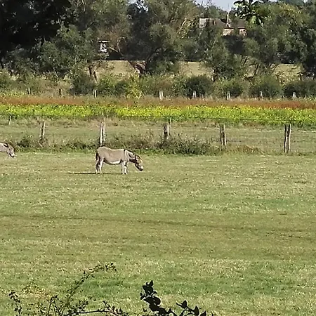 Bed & Breakfast Les Bovrieres Cysoing