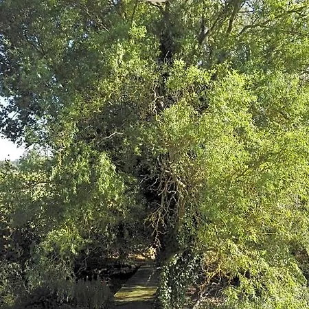 Les Bovrieres
